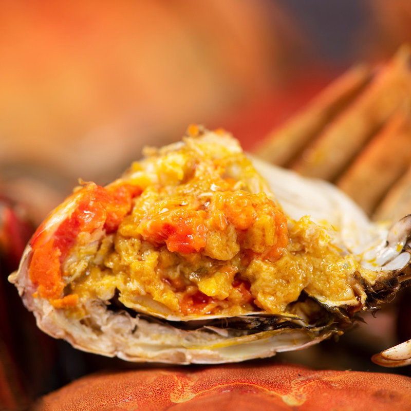 特大现货大闸蟹鲜活螃蟹10只海鲜水产全公母新鲜兴化红膏活蟹包邮,淘宝优惠券,粉丝福利购,淘宝优惠卷