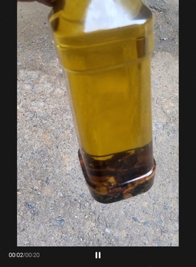 广西樟树精油老樟树提取纯天然驱寒去湿气泡吴茱萸精油