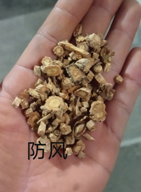 广西樟脑精油泡吴茱萸八角防风肉桂，两广好物