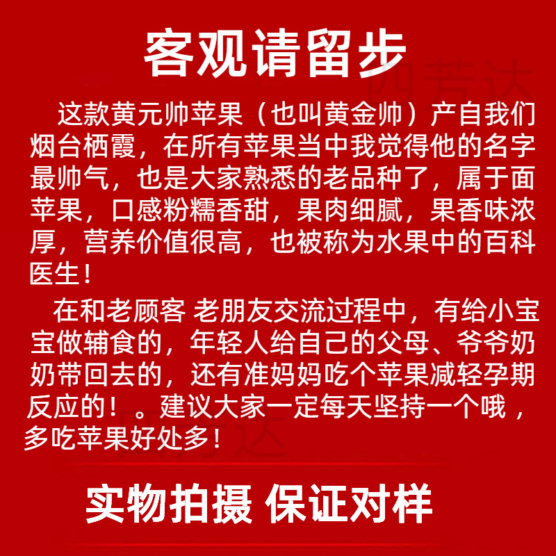 山东烟台黄金帅粉面苹果5斤粉糯香甜新鲜黄元帅苹果整箱水果辅食-图0