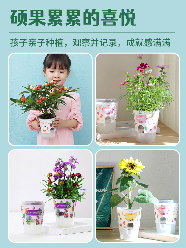 儿童迷你植物盆栽幼儿园小学生自种观察植物生长花农diy种子发芽 - 图2