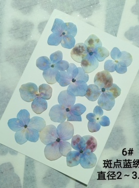 周周押花 秋色重瓣绣球压花真花植物标本干花装饰