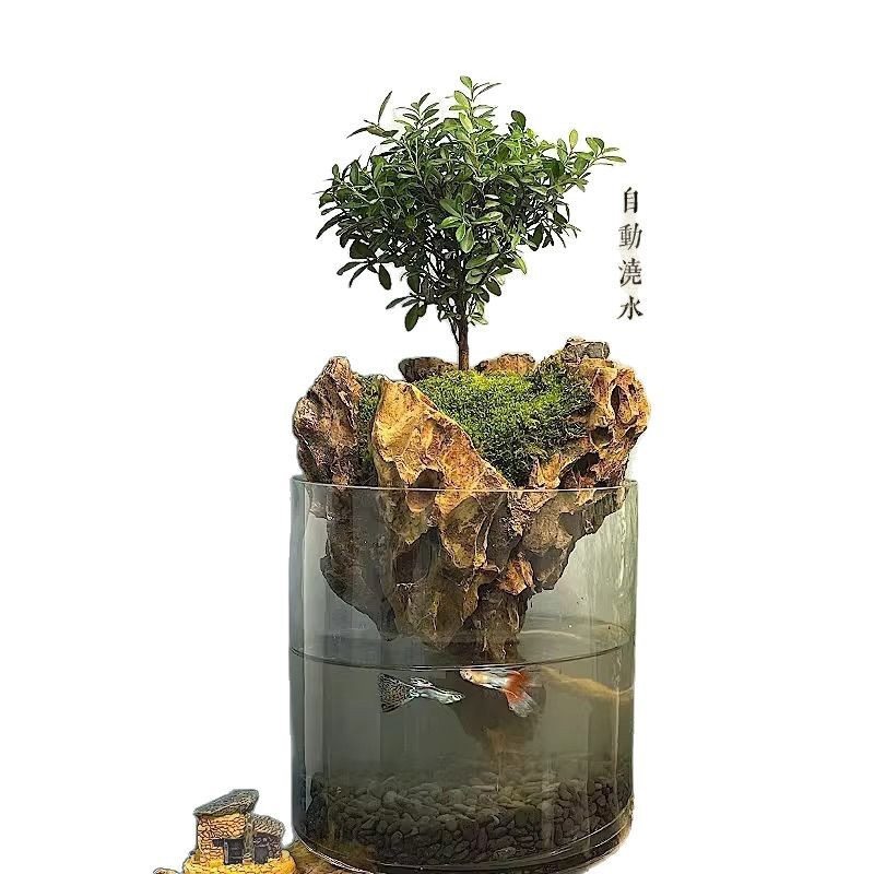 微景缸苔藓养鱼龟水陆缸赤楠缸四季常青办公室客厅盆栽桌面水族缸,淘宝优惠券,粉丝福利购,淘宝优惠卷