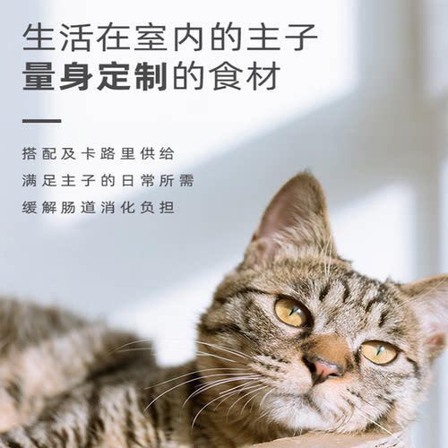 TEB!汤恩贝猫粮BK2K5K7K8成幼猫猫粮1.8kg猫咪短毛猫增肥美毛10kg - 图2
