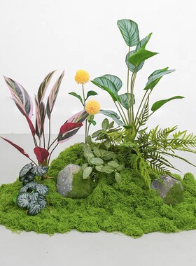 绿色苔藓干花手工diy材料包