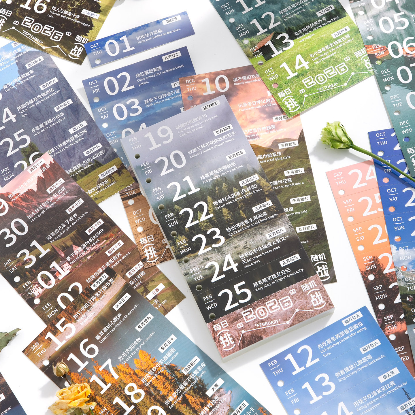 朝雨 每日挑战日历2026年每日一撕趣味治愈打卡周历台历创意摆件,淘宝优惠券,粉丝福利购,淘宝优惠卷