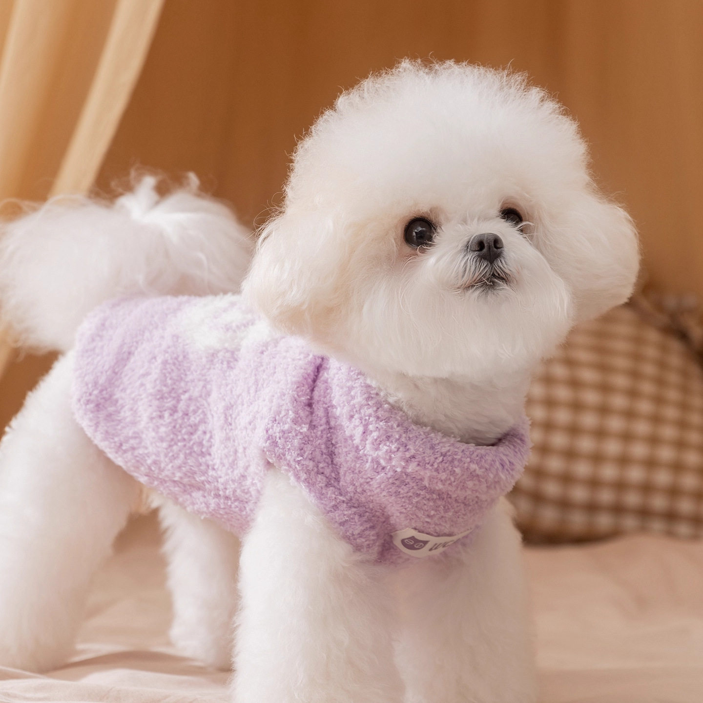 狗狗衣服2025新款秋冬装比熊泰迪雪纳瑞小型犬猫咪宠物小狗衣服,淘宝优惠券,粉丝福利购,淘宝优惠卷