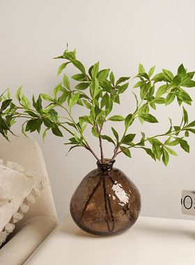 【Taka】玻璃花瓶高级感现代简约风玄关摆件客厅装饰水培花插