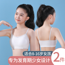 Teenage Girl Underwear Junior High School Girl Middle School Student 12-15 Year Old Hair Loss Little Vest Big Boy Girl Bra