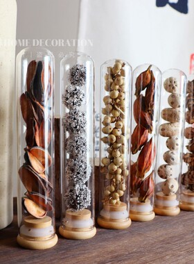 天然风干果实创意手工桌面小摆件