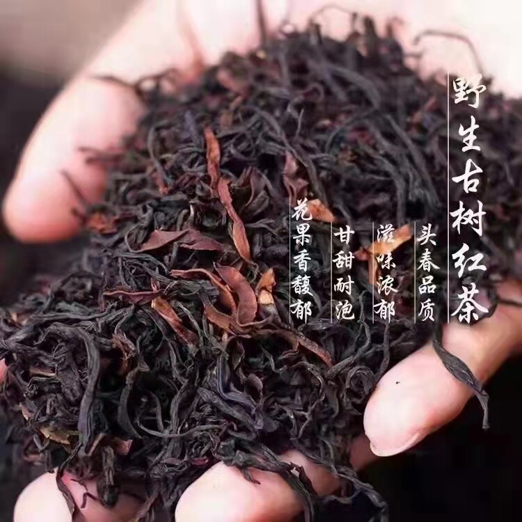 2026春茶正宗云南滇红茶千年野生古树红茶特级浓香型工夫红茶100g