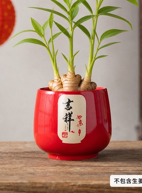 禄根大口径专用土培花盆桌面种植盆手绘莲花寓意好粗陶种姜器皿款