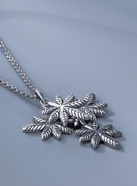 海盗船银饰项链女轻奢小众百搭款