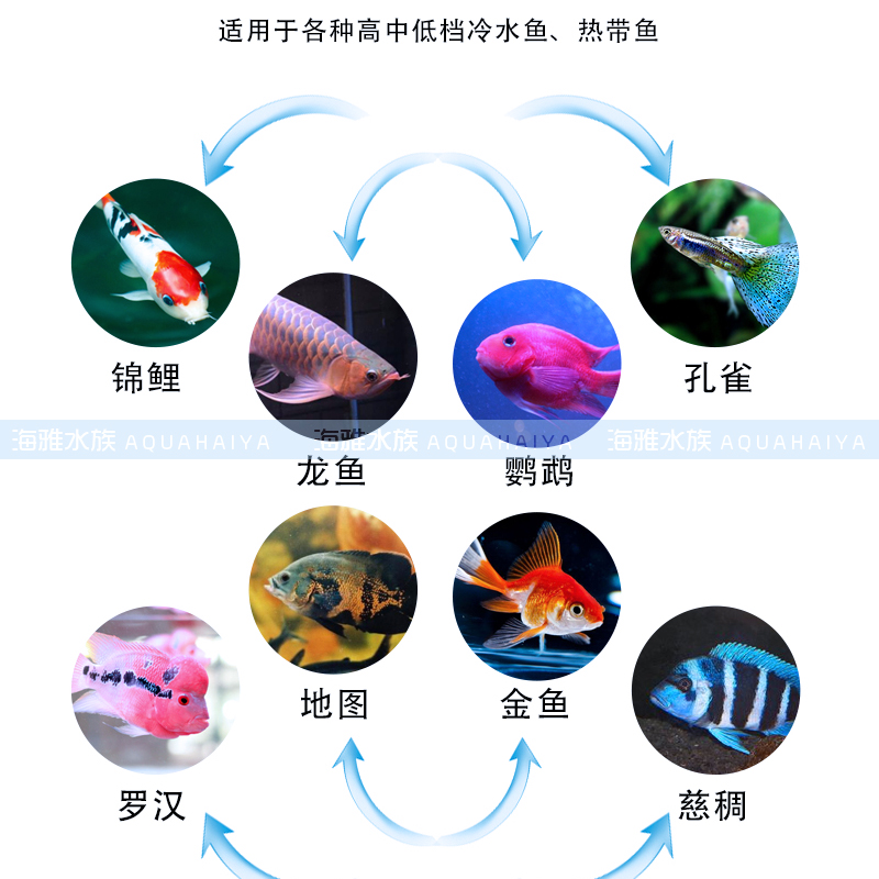 水族专用盐之宝粗盐细盐观赏鱼用盐养鱼鱼病防治净水杀菌洗缸活石 - 图2