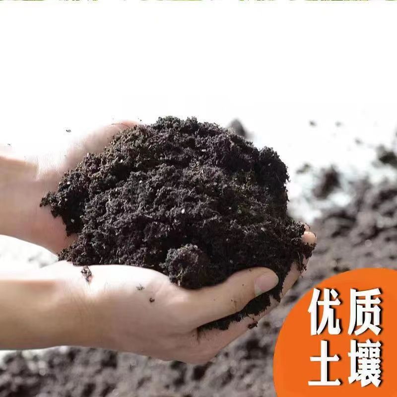 蟹爪兰专用土营养土养花专用肥料盆栽蟹爪莲蟹脚兰土壤有机腐殖土-图2