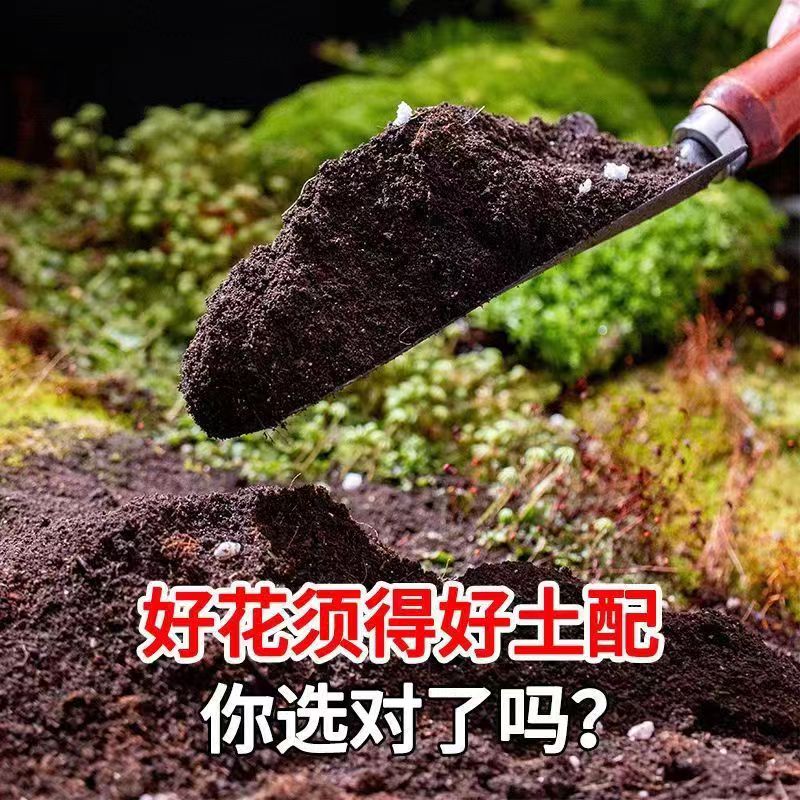 蟹爪莲专用土营养土养花专用肥料盆栽蟹爪兰蟹脚兰土壤有机腐殖土-图2