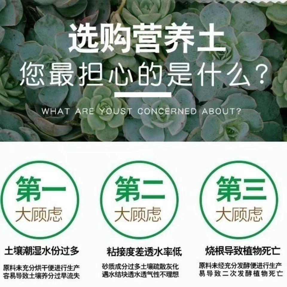 小盼菩提专用土酸性土种花养花土壤盆栽通用营养土花肥有机腐殖土-图1