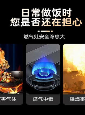 1300度焰温支持试用送运费险