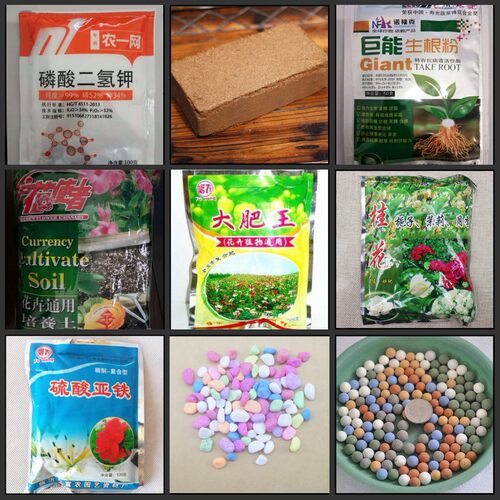 椰砖有机养花肥料营养土园艺综合生根粉肥料大肥王撒水壶. - 图0