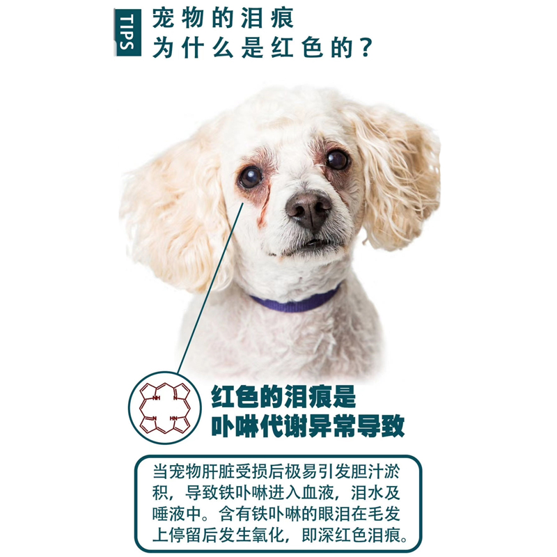 台湾ALICAN泪痕液狗狗口服精华液泪痕消猫咪比熊博美宠物猫犬神器 - 图0