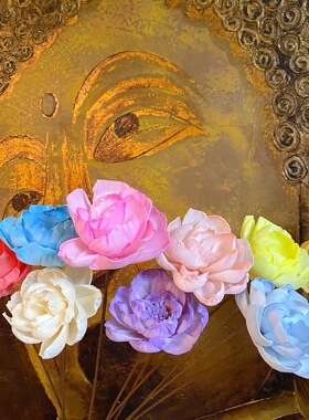 无火香薰干花 扩通草花香染色牡丹 家居清新摆件