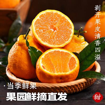 四川眉山不知火丑橘脆甜多汁现摘