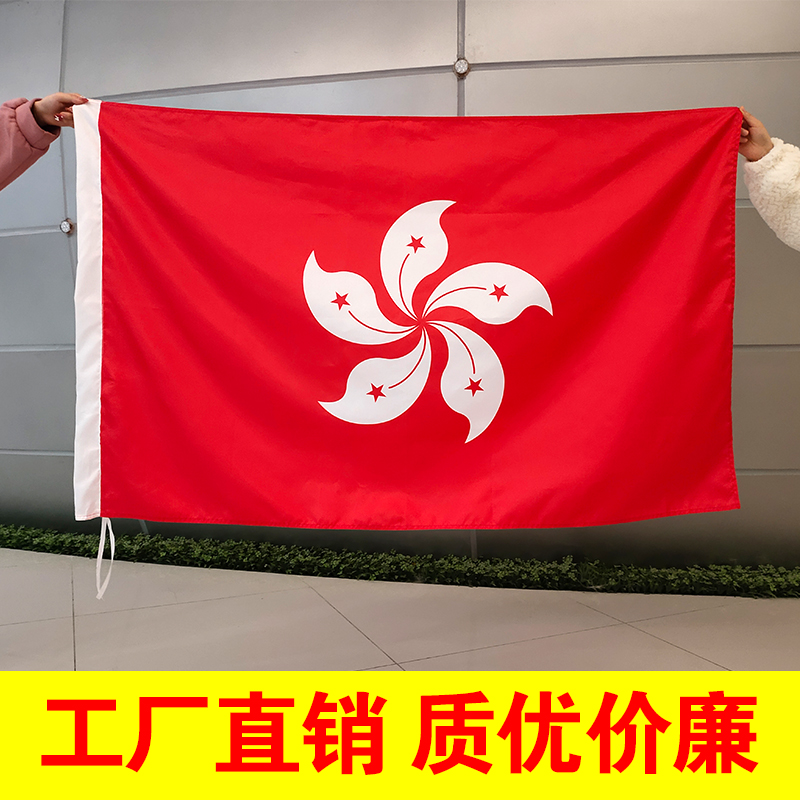 标准香港区旗紫荆花红旗香港旗手持四号旗特区八号小红旗帜各种尺寸定做 - 图0