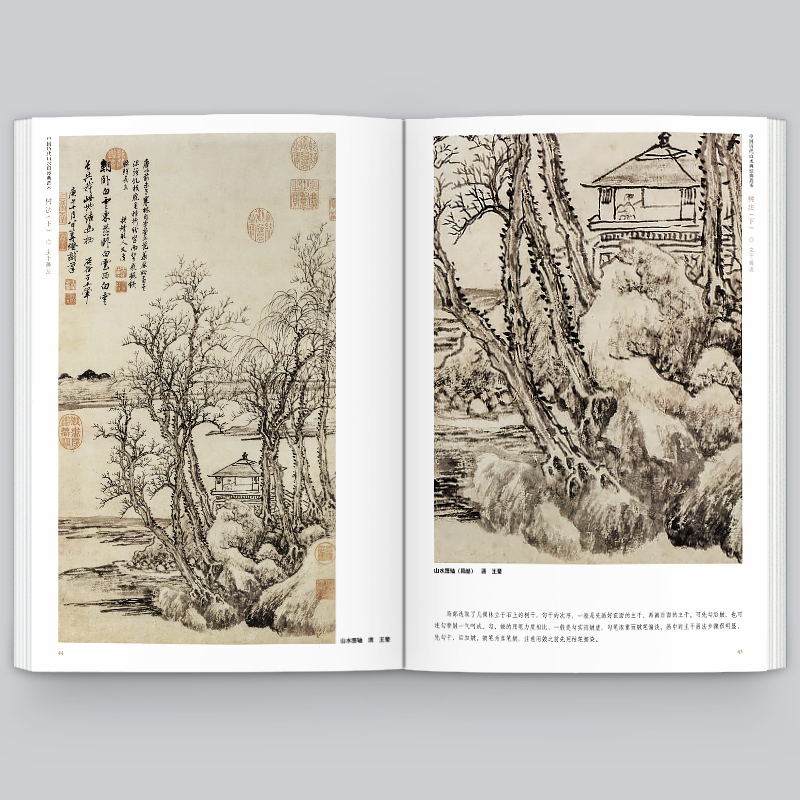 【8开264页】树法 上下册 中国历代山水画经典范本古代名家画集范宽董其昌沈周夏圭恽寿平写意工笔水墨山水画临摹范本山东美术出版 - 图1