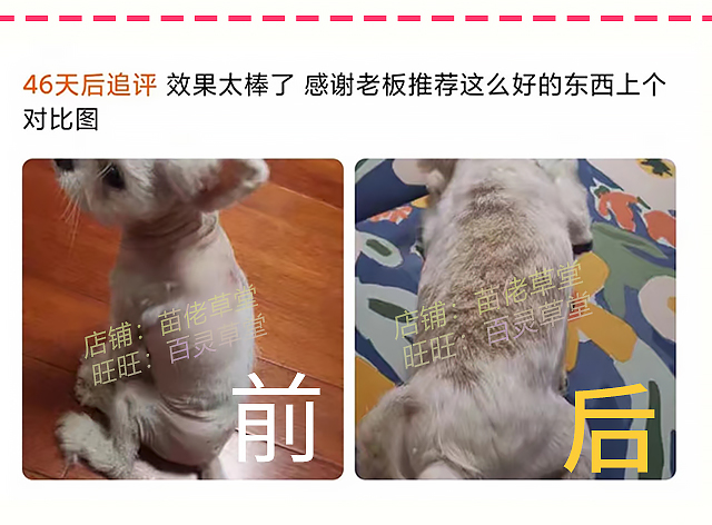 狗狗长毛剂毛囊受损修复宠物剃毛不长生毛液X脱毛症博美犬黑皮症