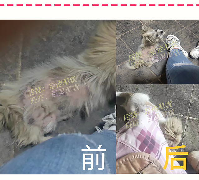 狗狗长毛剂毛囊受损修复宠物剃毛不长生毛液X脱毛症博美犬黑皮症