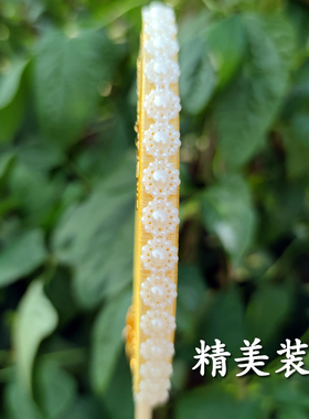 蚕丝扇自制团扇手工diy材料包古风配饰长柄空白扇子骨框架扇骨