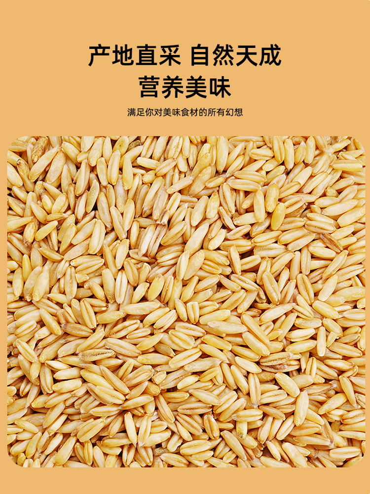 500g*5野三坡燕麦米燕麦仁农家裸燕麦新米胚芽米燕麦粒杂粮粗粮 - 图1