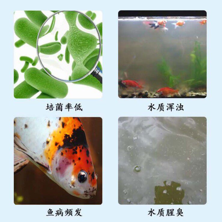 天然珊瑚骨过滤材料水族水产滤箱海鲜池鱼塘培菌专用珊瑚砂调节PH,淘宝优惠券,粉丝福利购,淘宝优惠卷