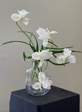 油画鸢尾高仿黄色香槟色仿真鸢尾花保湿手感客厅假花装假装饰品