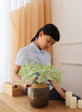 植绒插花配饰田园轻奢电视柜叶子