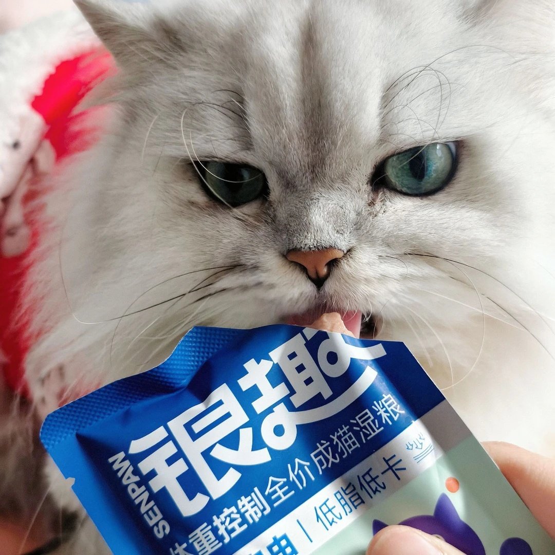 银趣湿粮包软罐头体重控制全价成猫湿粮主食猫咪罐头低脂低卡胰腺,淘宝优惠券,粉丝福利购,淘宝优惠卷