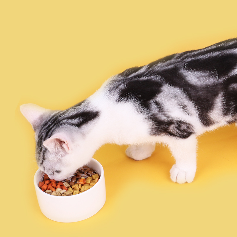 猫太郎海芯饼干猫零食猫薄荷夹心饼干猫咪磨牙洁齿除口臭夹心酥 - 图2