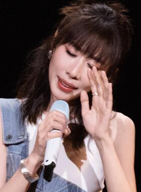 纯铜耳饰 任素汐演唱会同款镂空网格耳环复古轻奢耳饰夸张耳钉女