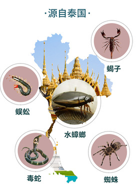 泰国VINCERE ANCIENT原装进口五毒足贴艾草舒缓通络改善10贴/包