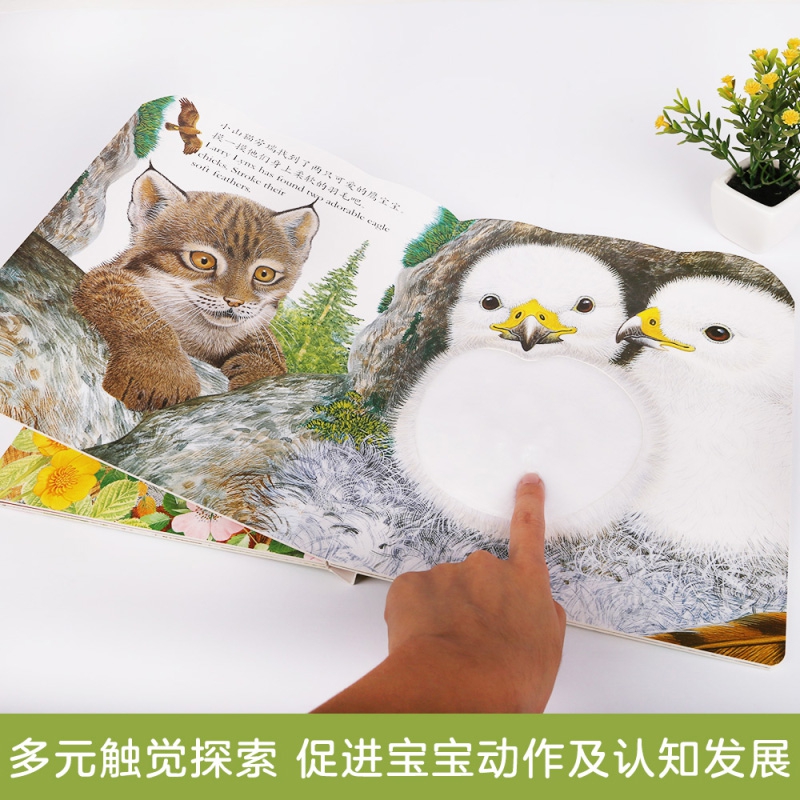 亮丽精美早教触摸书全套4册幼小兔比利小熊波比儿童启蒙洞洞翻翻婴儿不易撕烂触感刺激认知书本故事书1岁2岁绘本婴儿书撕不烂触感-图3