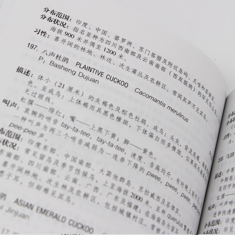 正版中国鸟类野外手册 爱鸟观鸟爱好者动物科学百科专业书中国鸟类观察普图鉴 珍惜森林草原野鸟形态图鉴珍惜 野生动物观察工具书