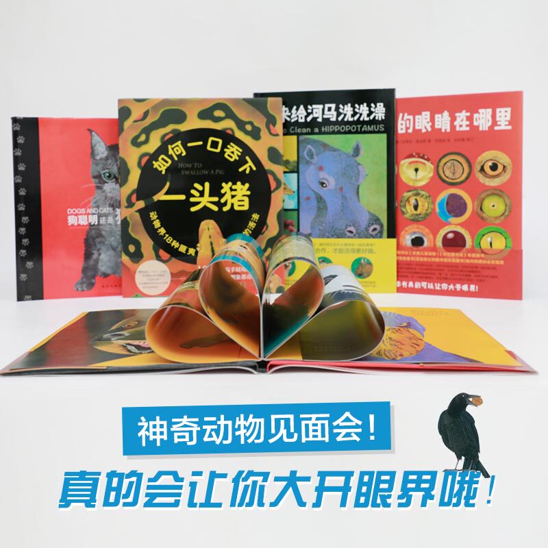 动物真好玩系列(5册:大熊猫为什么长了黑眼圈、狗聪明还是猫聪明、扇贝的眼睛在哪里