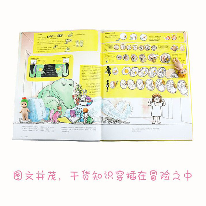 如何制作一个哥哥 人体结构书儿童3-6-8-12岁知识百科书籍 科学益智科普绘本少儿读物人体运转的秘密奥秘我们的身体 后浪正版