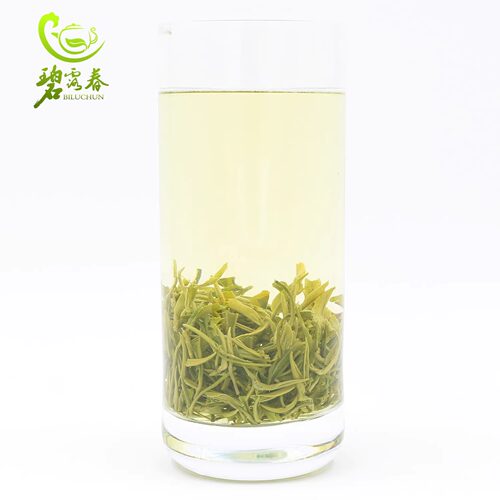 2026新茶甘肃陇南文县碧口高山云雾绿茶明后特级毛峰毛尖茶叶250g - 图0