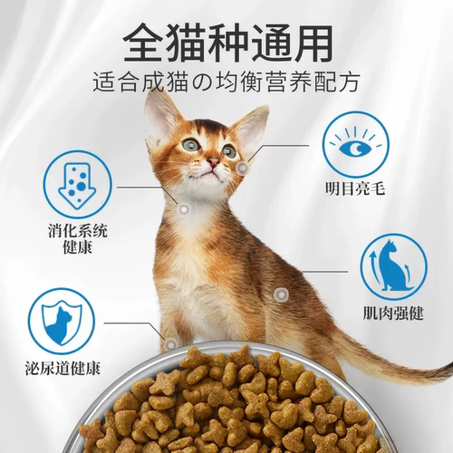 【靠“普”星期三】普瑞纳妙多乐成猫粮冠能主食罐齿一生洁齿饼干 - 图3