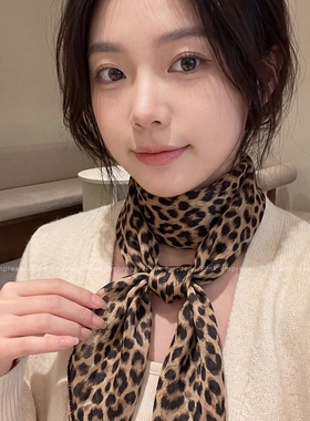 棕色波点丝巾印花高级百搭丝带女