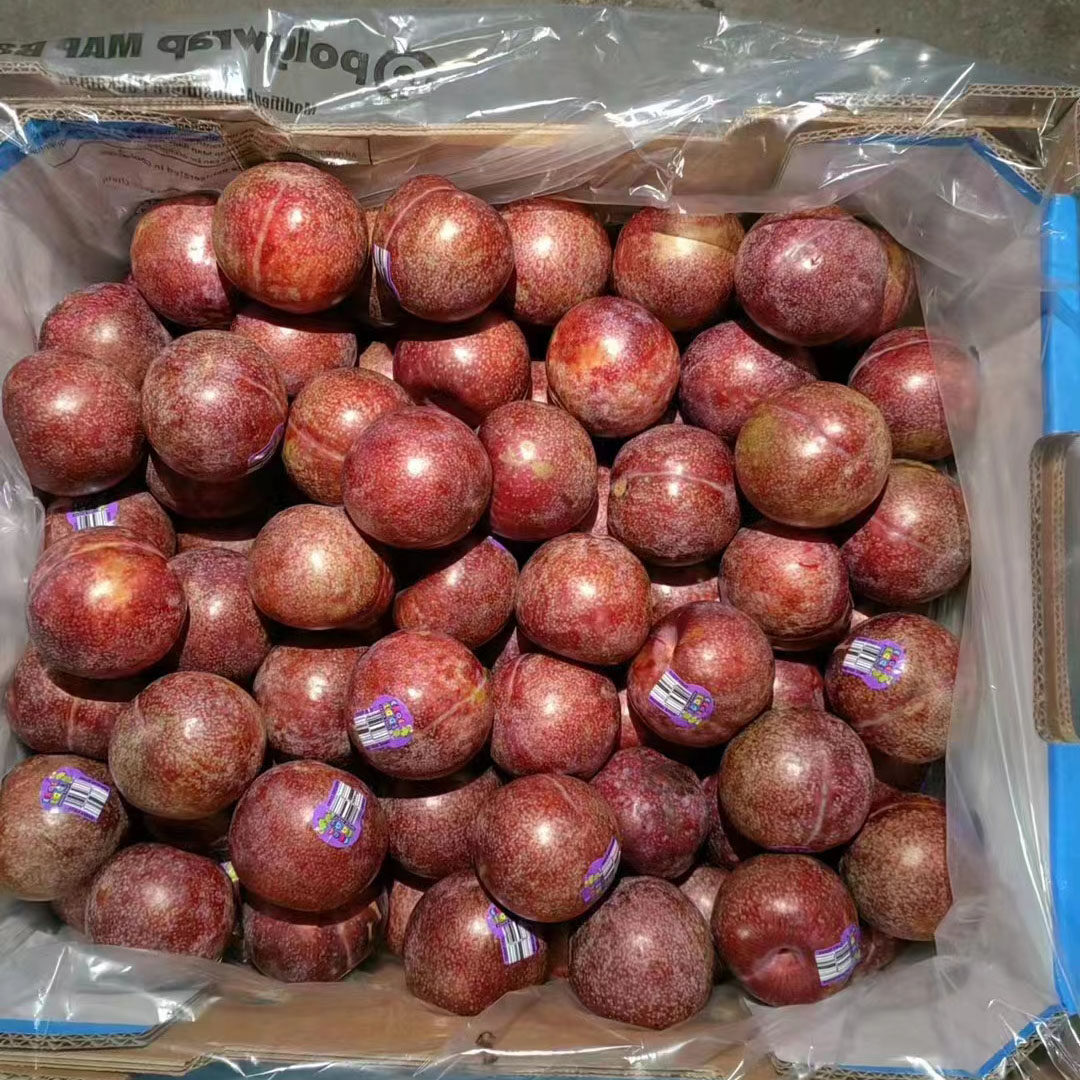 澳洲进口凤凰李3斤装血丝李蜥蜴蛋新鲜红肉红心李子孕妇水果包邮,淘宝优惠券,粉丝福利购,淘宝优惠卷