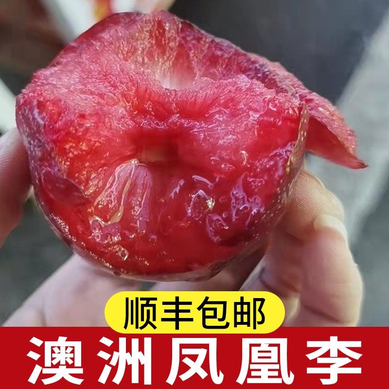 澳洲进口凤凰李3斤装血丝李蜥蜴蛋新鲜红肉红心李子孕妇水果包邮,淘宝优惠券,粉丝福利购,淘宝优惠卷