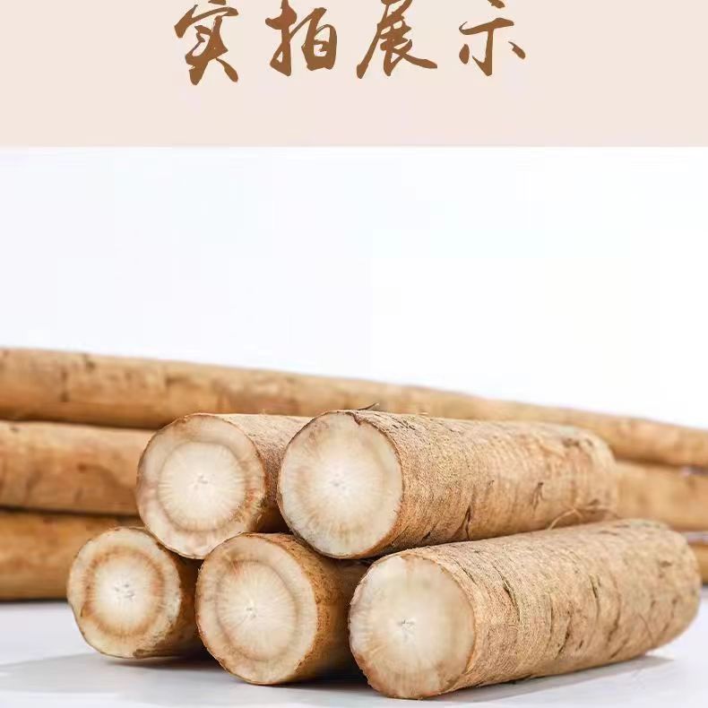 黄皮牛蒡根5斤现挖正品野生黄金牛蒡茶原料新鲜可榨汁黄皮鲜牛蒡-图1