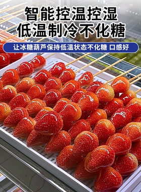 冰糖葫芦展示柜商用除湿保鲜柜